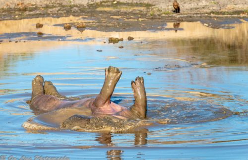 Africa Sept 2018